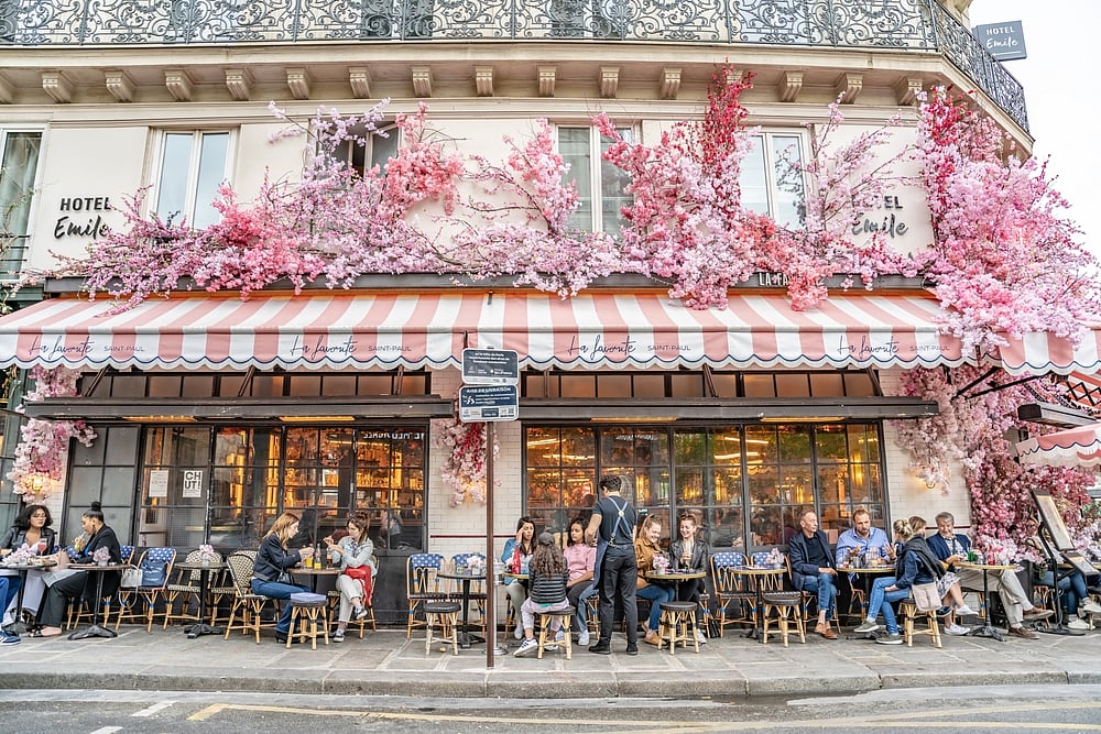 Enjoy the Parisian vibe on a tour 