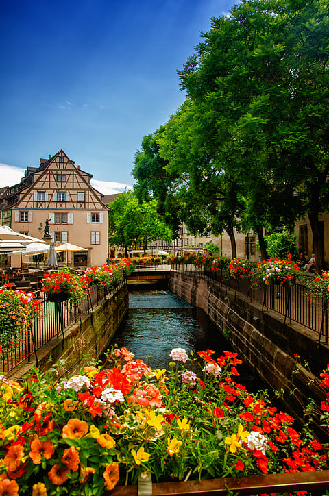 Colmar, a charming town in Alsace, France, a famous tourist destination for its vineyards, traditional houses, canals, floral displays