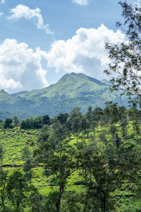 The Banasura Hills of Wayanad