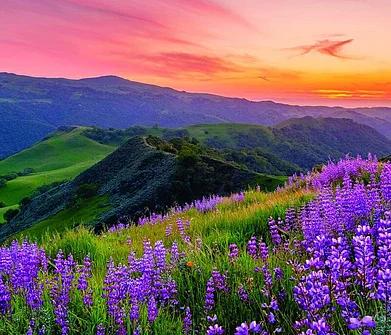 Each day is a beautiful adventure in Tri-Valley