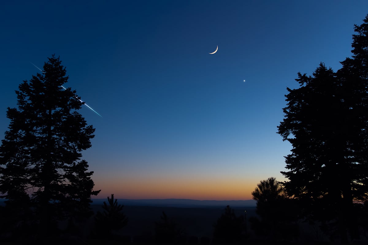 Crescent Moon with stars, planets and tree silhouettes on evening sky
