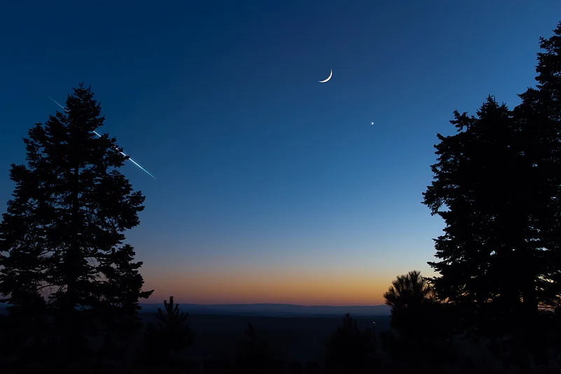 Crescent Moon with stars, planets and tree silhouettes on evening sky
