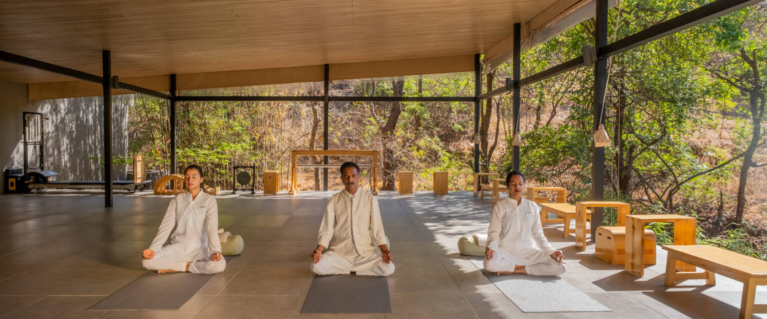 The “Dharana Yogic Path” program is suitable for all levels