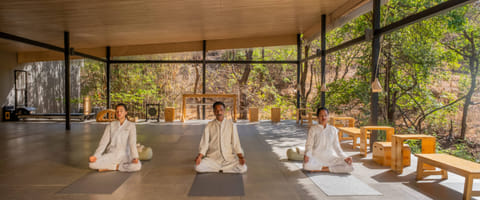 The “Dharana Yogic Path” program is suitable for all levels