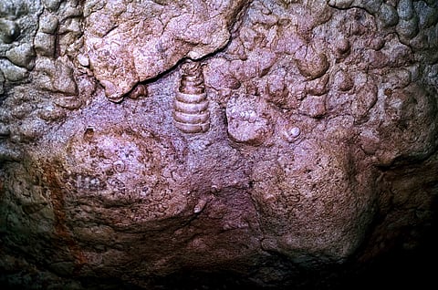 Fossils on the limestone walls of the Arwah Cave