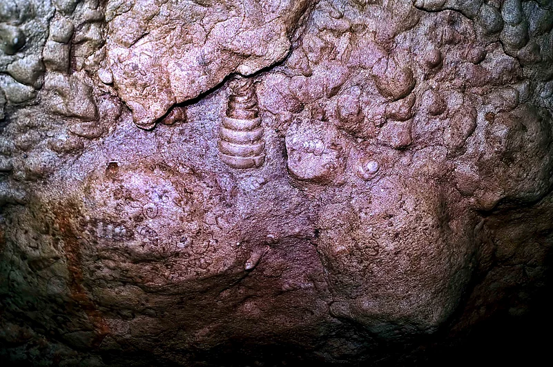 Fossils on the limestone walls of the Arwah Cave