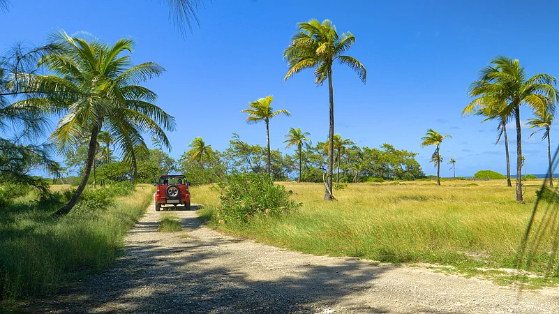 Take a road trip around Barbados