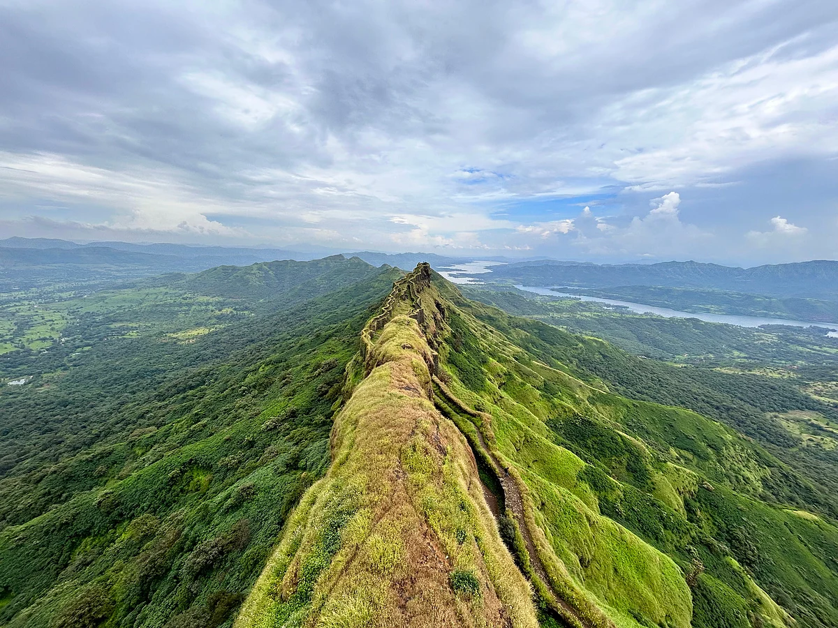 omkar ashtekar/Shutterstock
