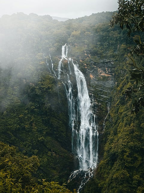 The majestic Jog Falls of Karnataka