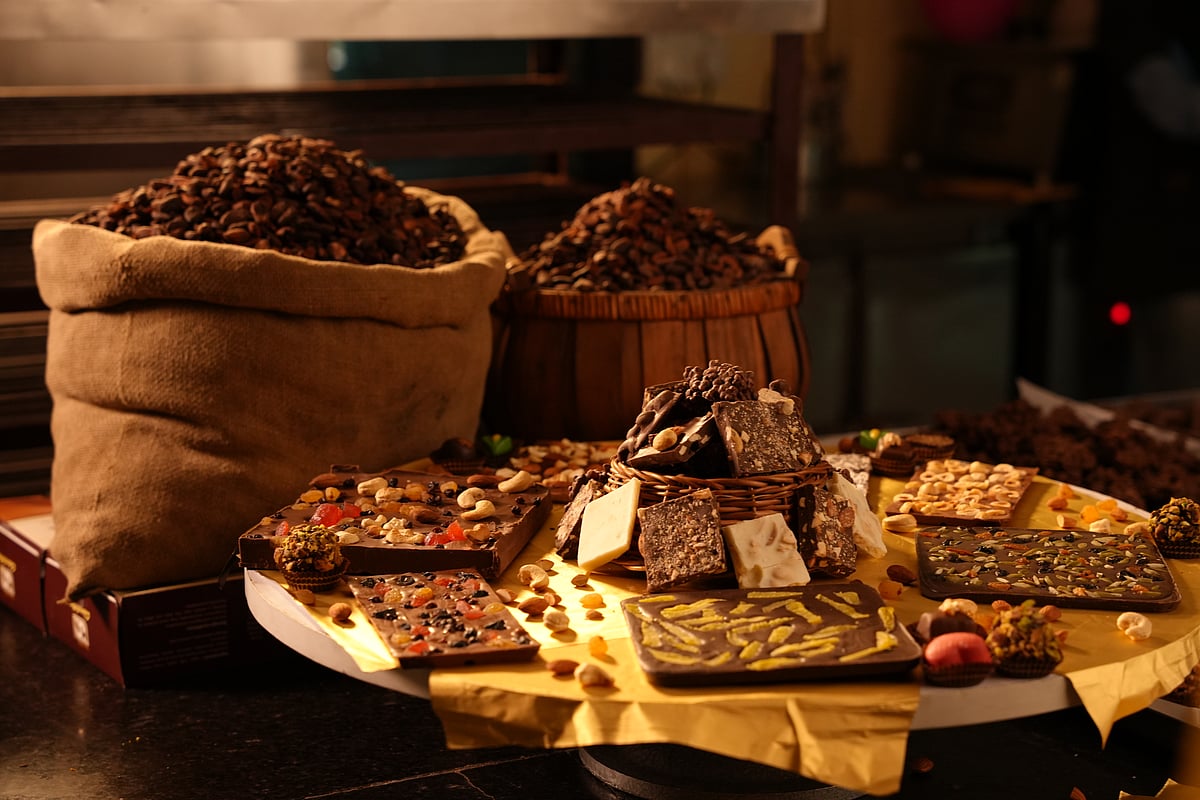 In Tamil Nadu, a circuit of amazing museums and galleries covers both the state's popular and niche attractions - null