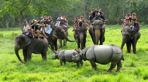 Chitwan National Park