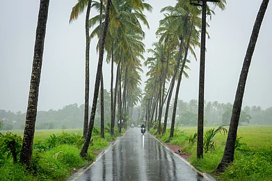 Shutterstock : Goa in monsoons