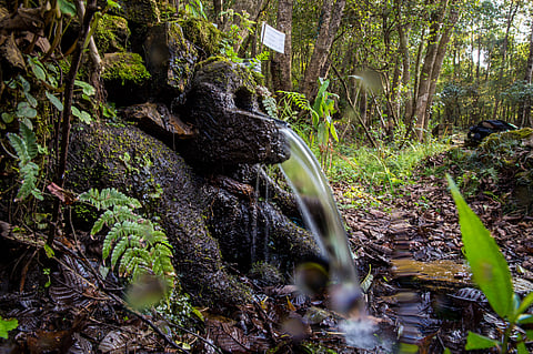 As a result of Bhuchar's six-step management process, many drying springs were revived with increased water discharge