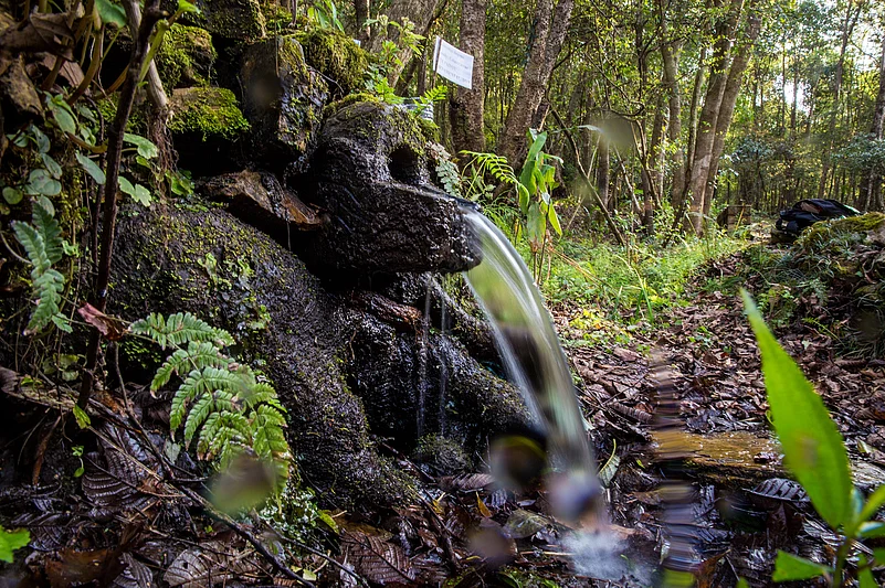 As a result of Bhuchars six-step management process, many drying springs were revived with increased water discharge