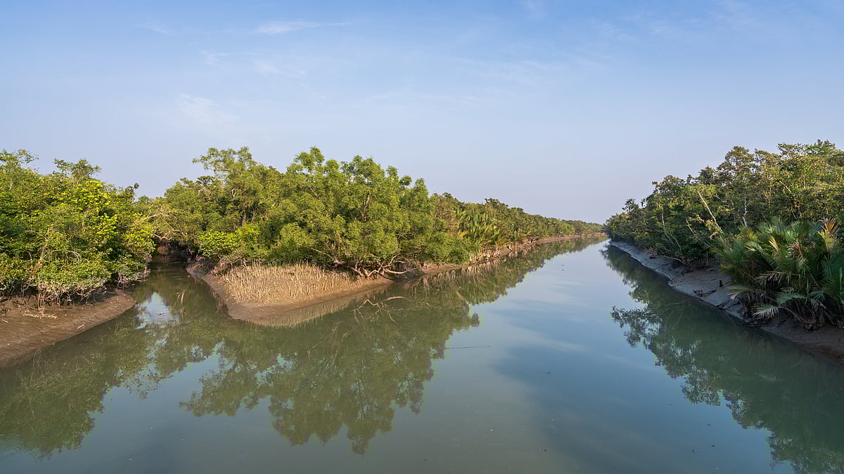 Sundarbans National Park