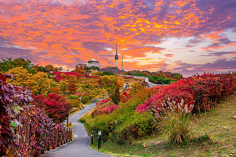 Namsan Seoul Tower castle wall during autumn 