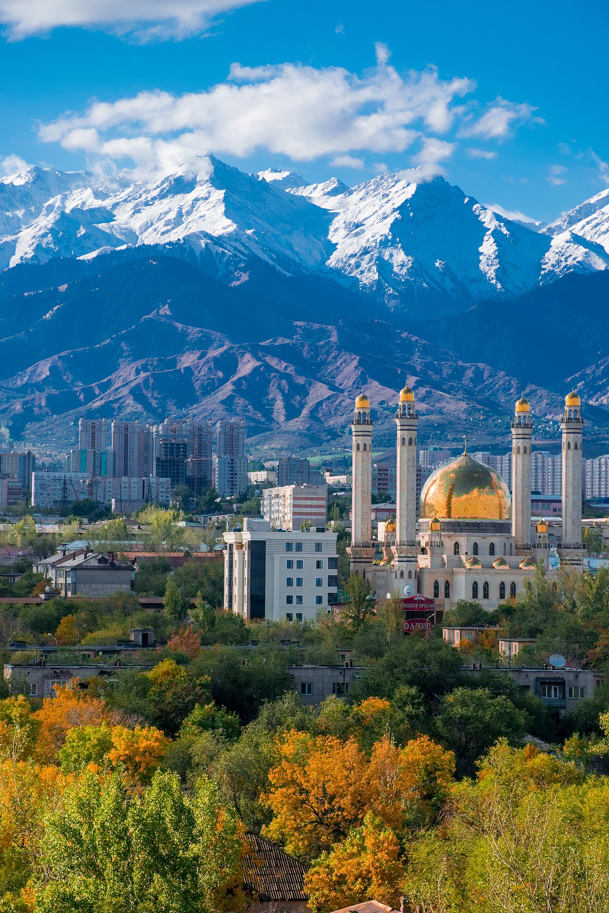 The Central Mosque in Almaty - Shutterstock.com