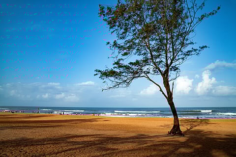 The decision to impose an entry tax aligns with the panchayat's commitment to promoting responsible tourism practices