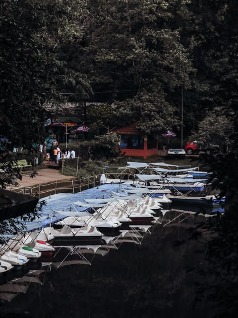 Boats parked at the Pookode Lake