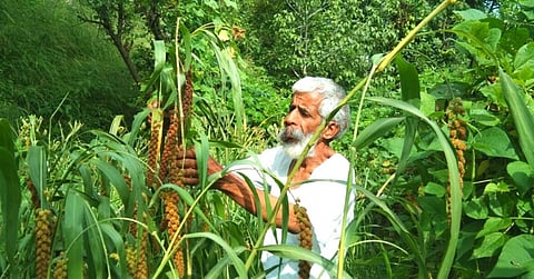 Vijay Jardhari teaches farmers how to grow 12 crops a year