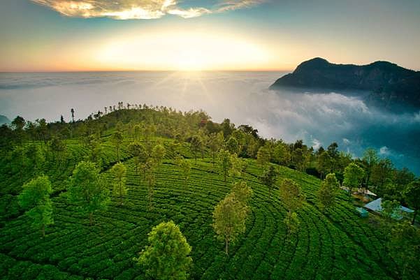 Travellers may be unaware that Coonoor boasts the birthplace of exquisite Nilgiri tea
