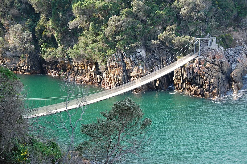 Suspension bridge in Tsitsikamma Forest