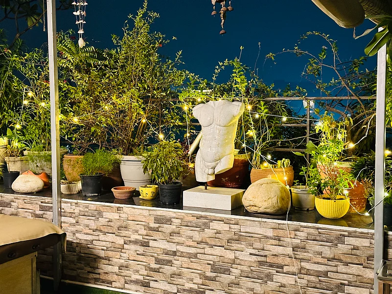 Copyright: Mister and Art House