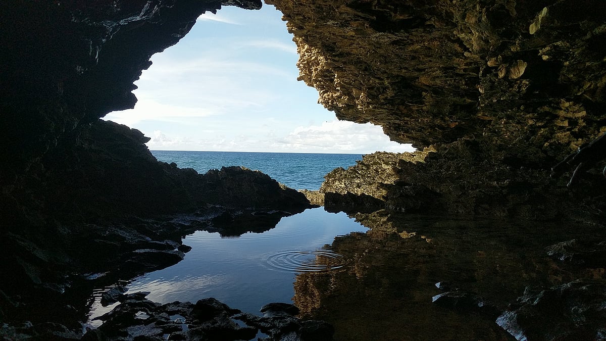 The Animal Flower Cave is the northernmost part of Barbados