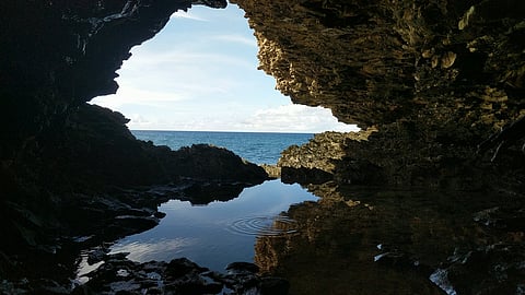 The Animal Flower Cave is the northernmost part of Barbados