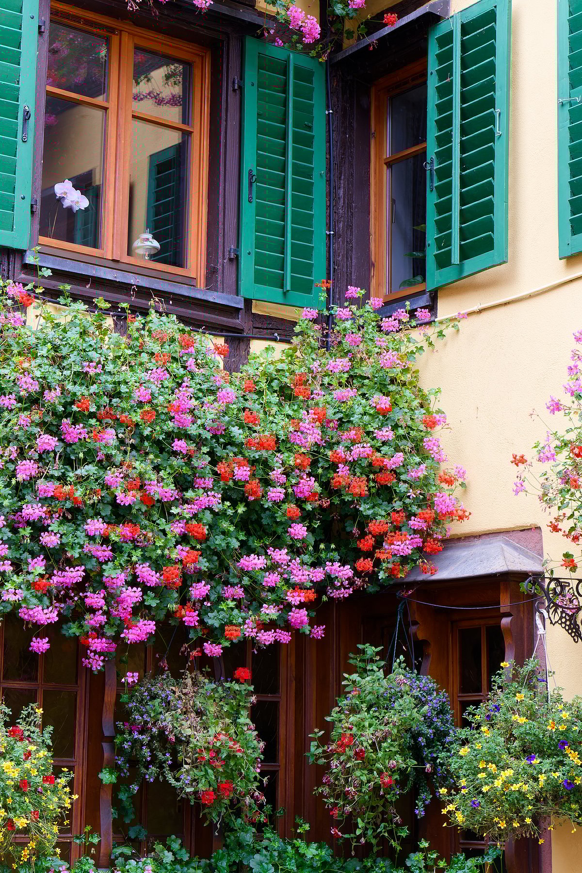 Shutterstock : Autumnal detailed view of the French town of Ribeauville in Alsace