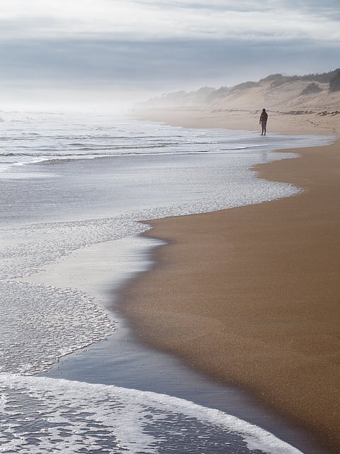 A view of the Chandrabhaga Beach