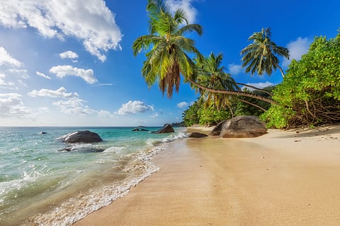 A beautiful beach in Goa