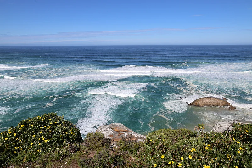 Robberg Nature Reserve