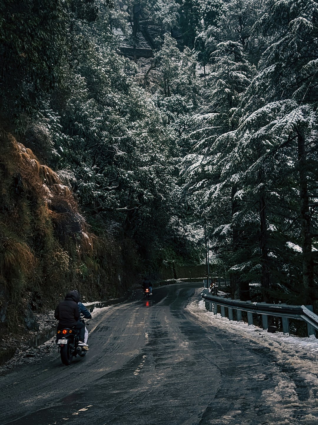 A view of snow-clad trees and roads in Chakrata