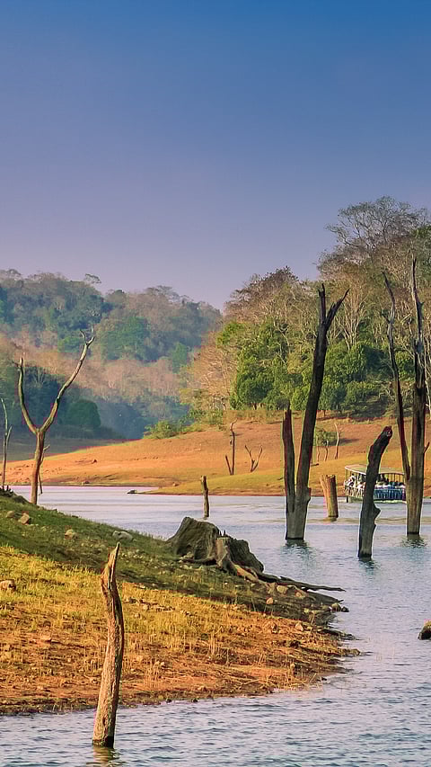 Periyar National Park, Kerala