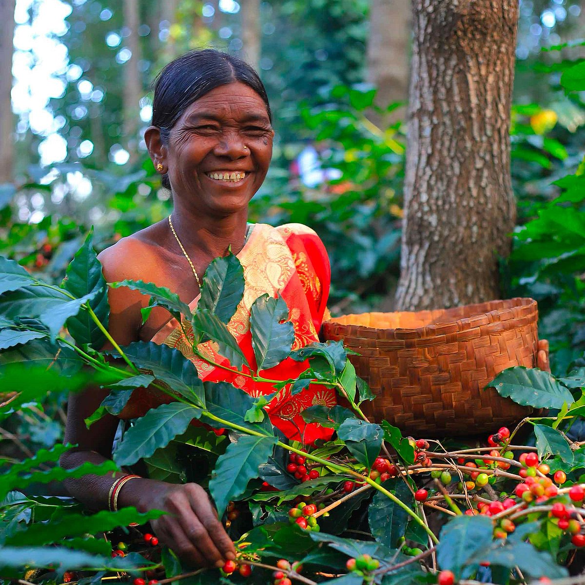 Grower Badnaini Subdramma who works on a coffee plantation