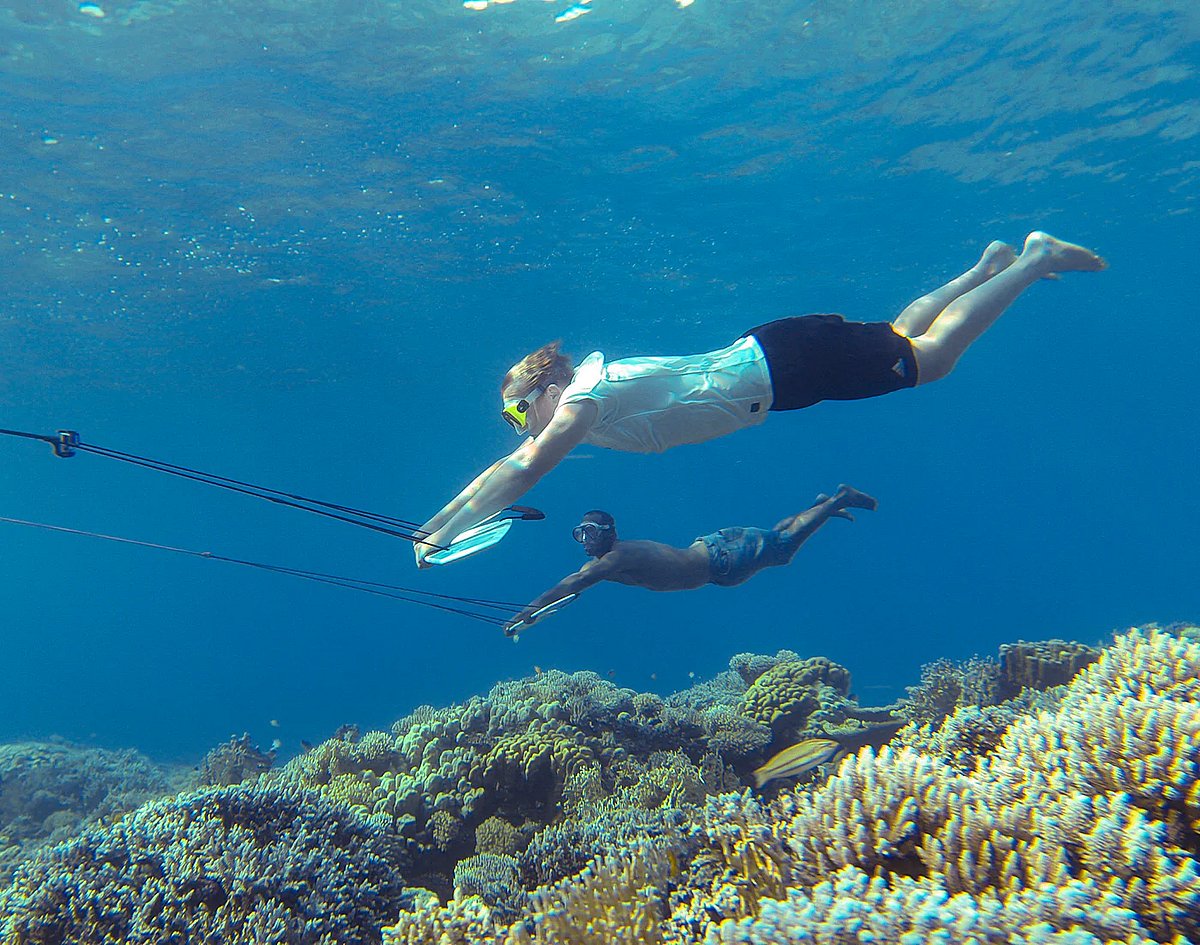 People having a go at Subwing