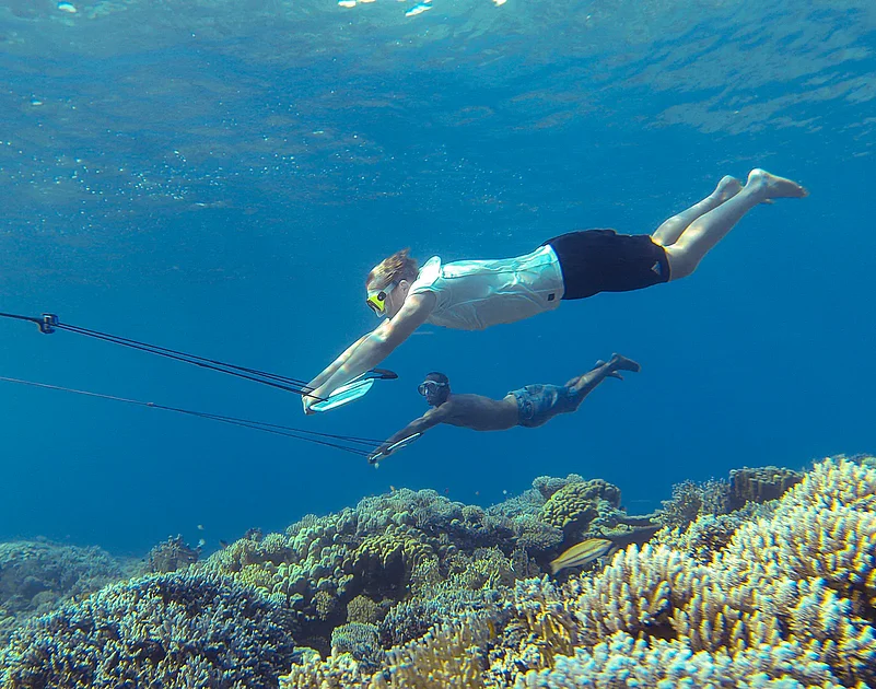 People having a go at Subwing