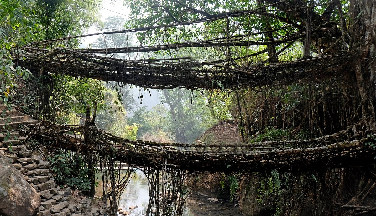 The Umshiang double-decker living root bridge