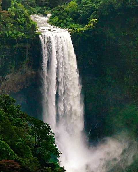 Mhadei Wildlife Sanctuary, Goa
