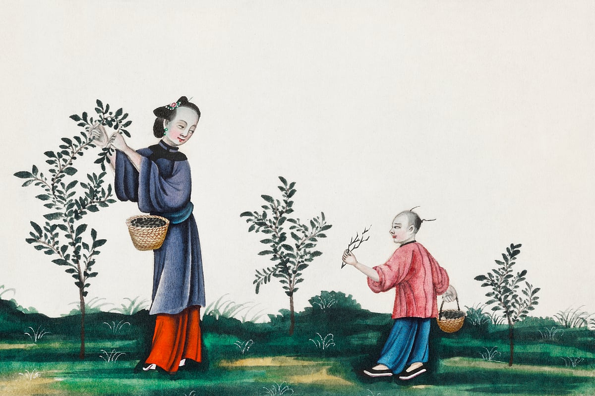 Chinese painting illustrating a mother and a son plucking tea sprouts (ca.1800–1899) from the Miriam and Ira D. Wallach Division of Art, Prints and Photographs: Art & Architecture Collection. Original from the New York Public Library. Digitally enhanced by rawpixel.