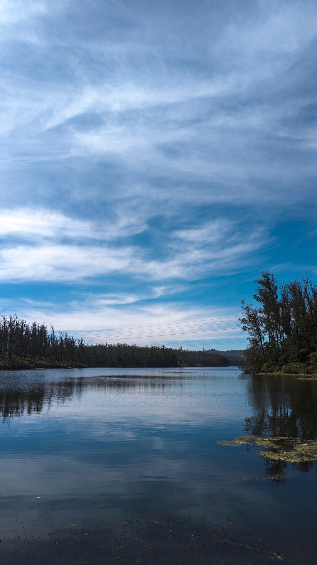 The beautiful Ooty Lake