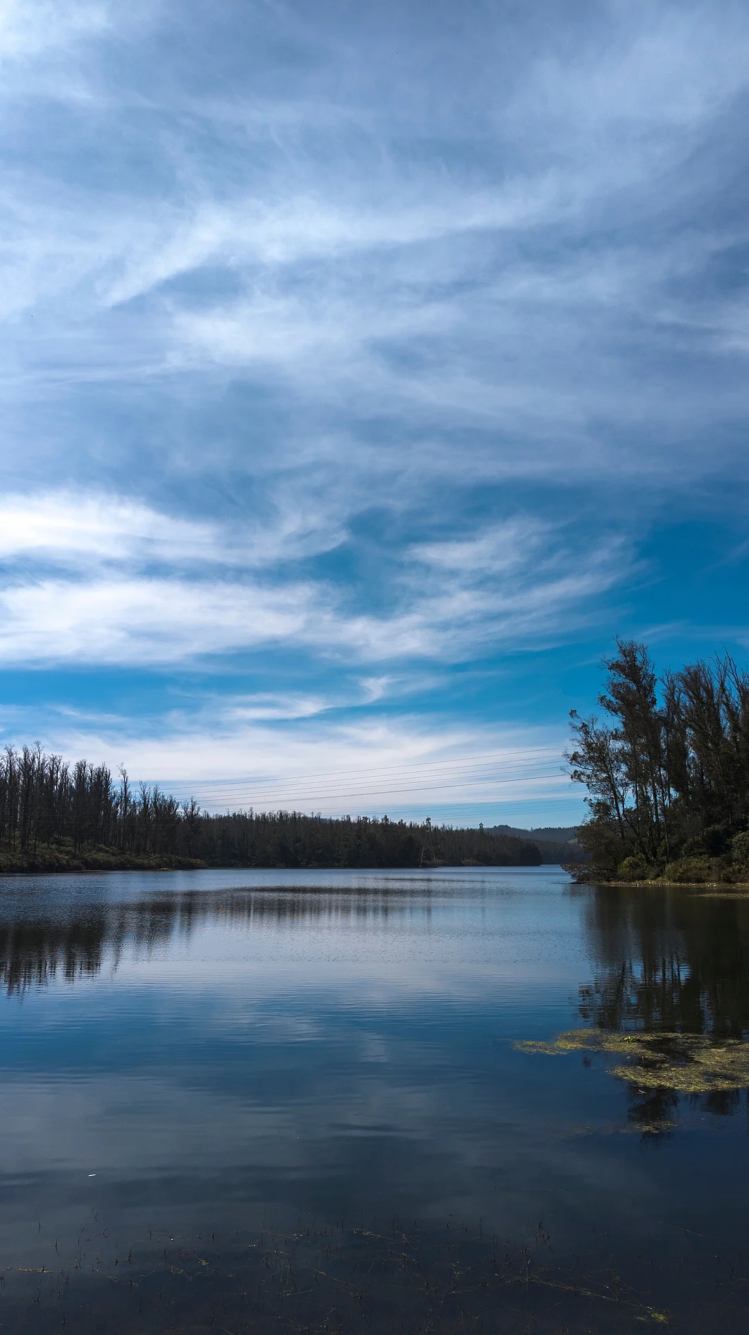 The beautiful Ooty Lake