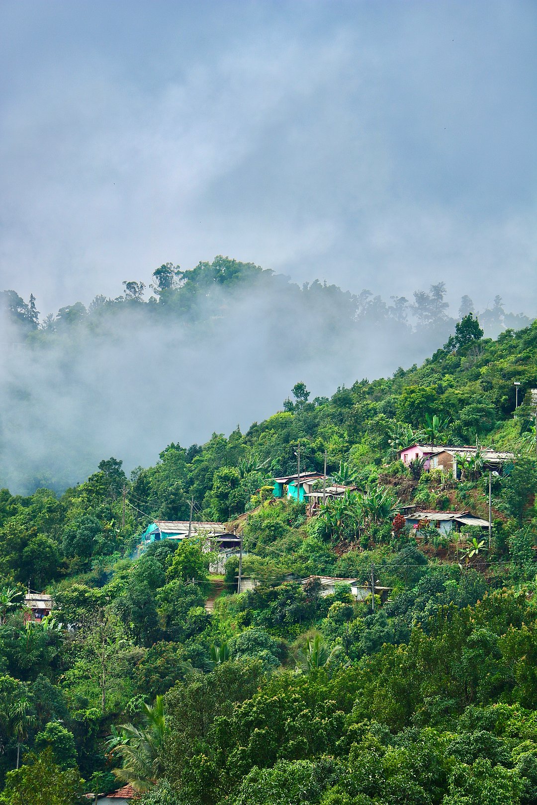 A view of Coorg