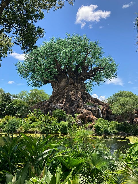 Disney's Animal Kingdom Theme Park, Lake Buena Vista