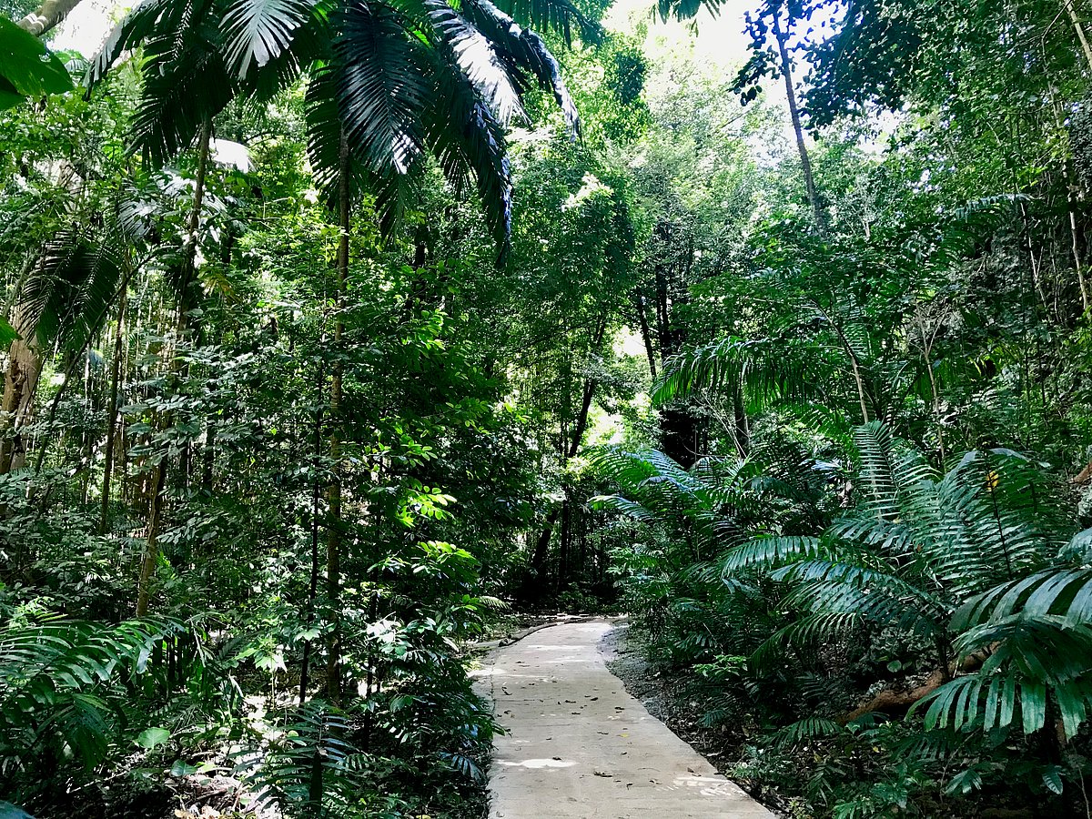 A nature walk through Welchman Hall Gully