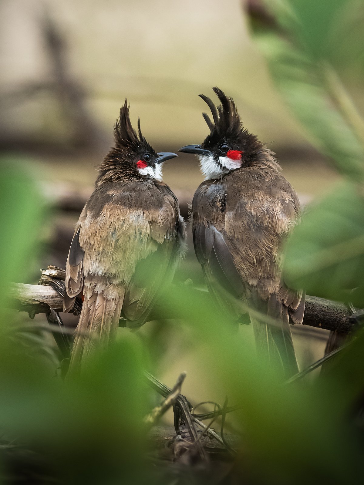 PVRM/Shutterstock,com : Nagarhole National Park, Karnataka