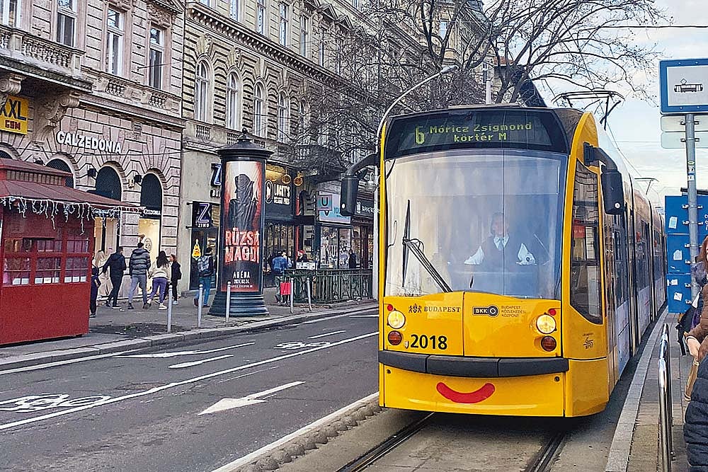 Trams are the easiest and best way to get around the city