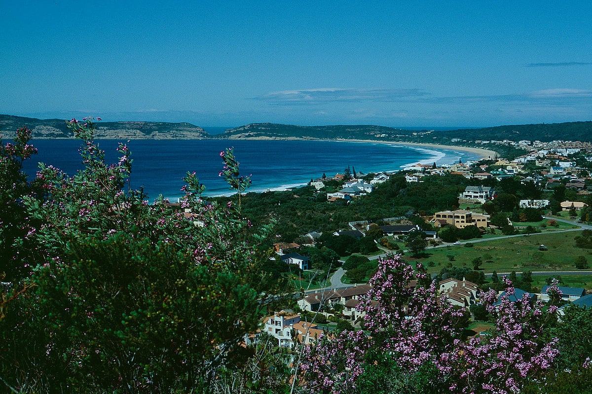 Whale Rock Beach near Knysna