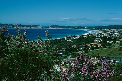 Whale Rock Beach near Knysna